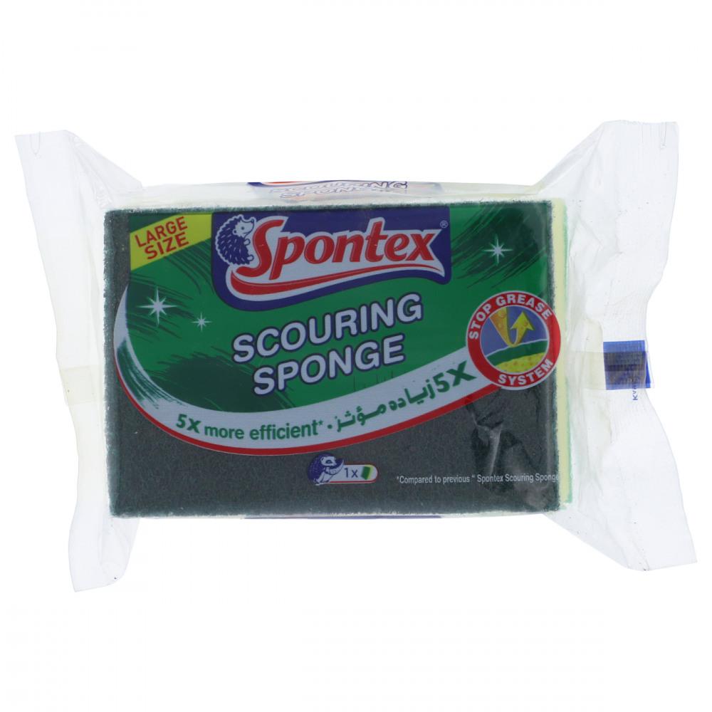 Spontex Sponge Large 1s