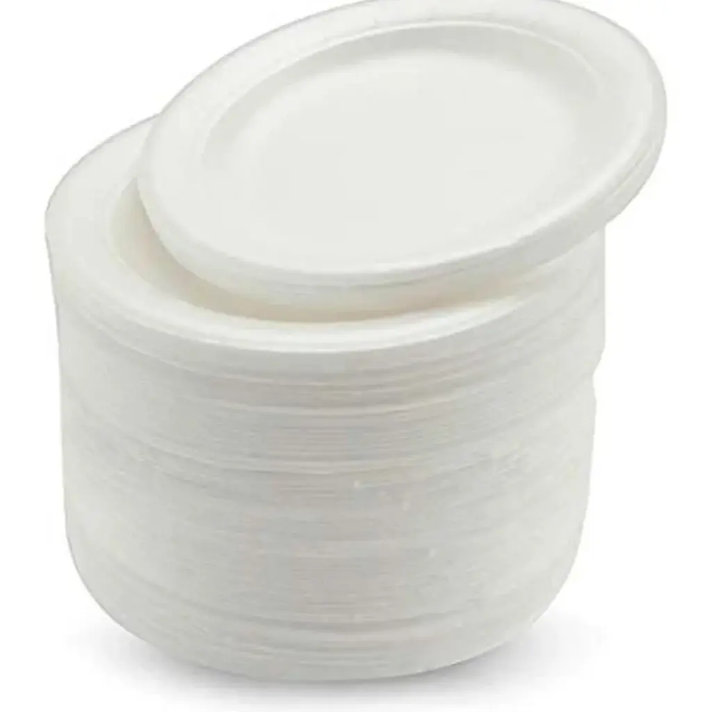 Disposable Plate Large