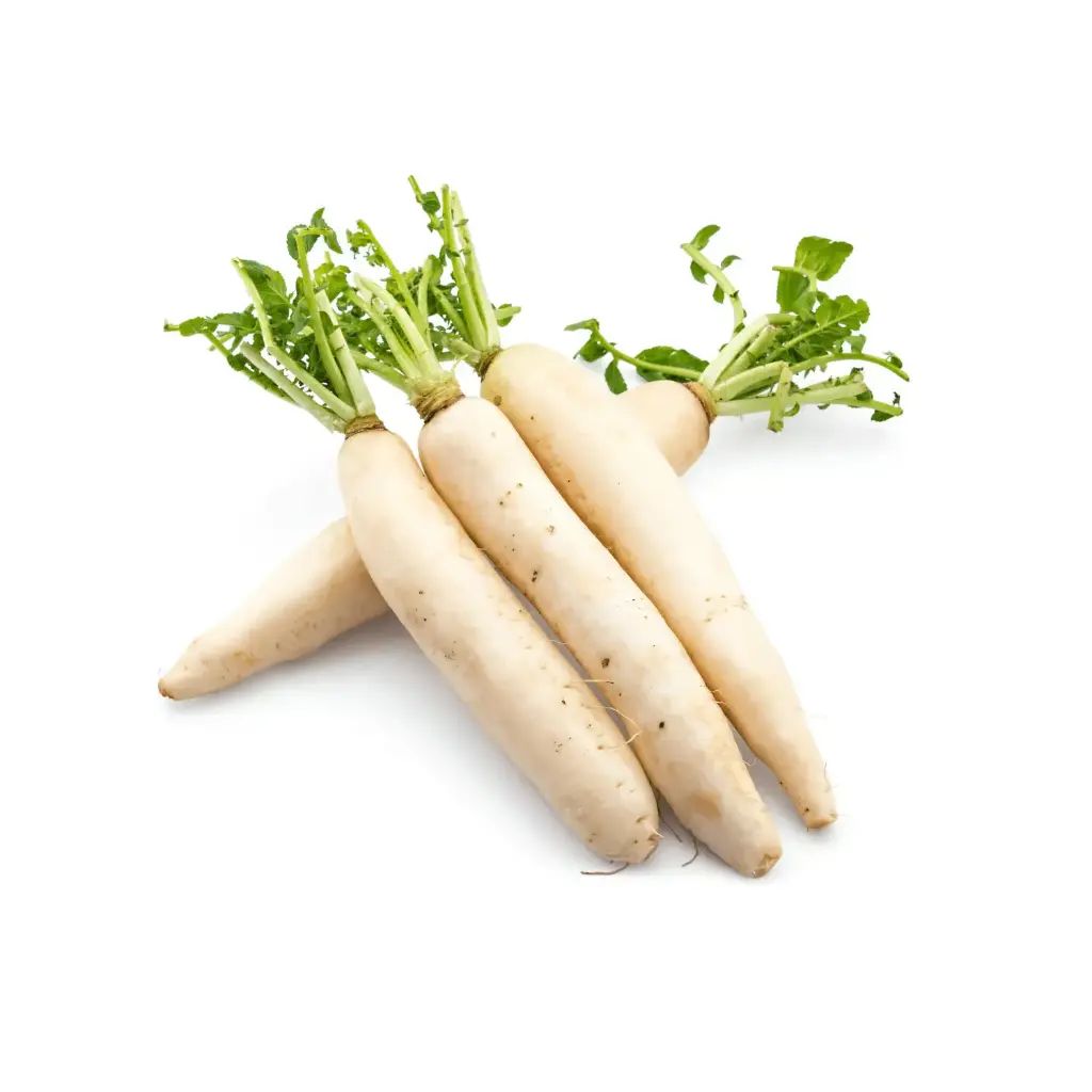 Radish White