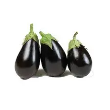 BRINJAL(Baingan)