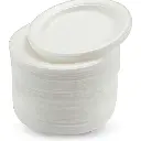 Disposable Plate Large