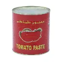 Dew Drop Tomato Paste 800G 