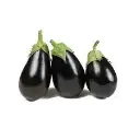 Eggplant